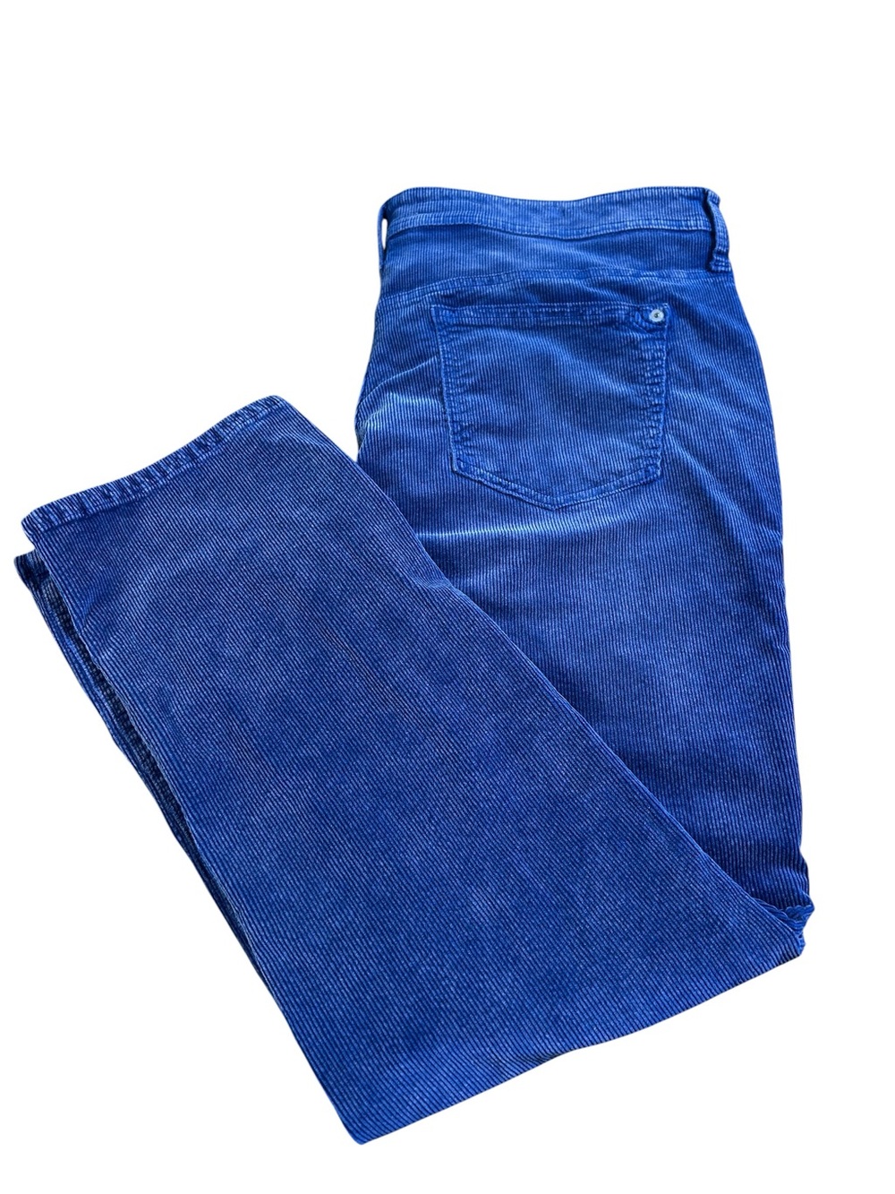 PILCRO Slim Boyfriend Crop Corduroy Pants Blue Women’s 33 Anthropologie Preppy